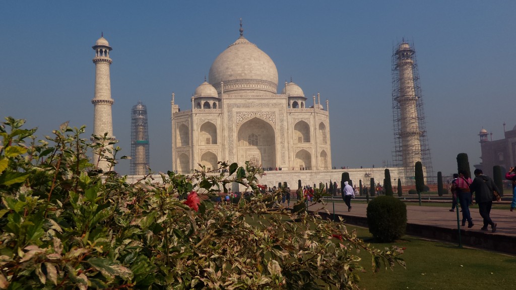 Pic Clicked from ASUS Zenfone Zoom