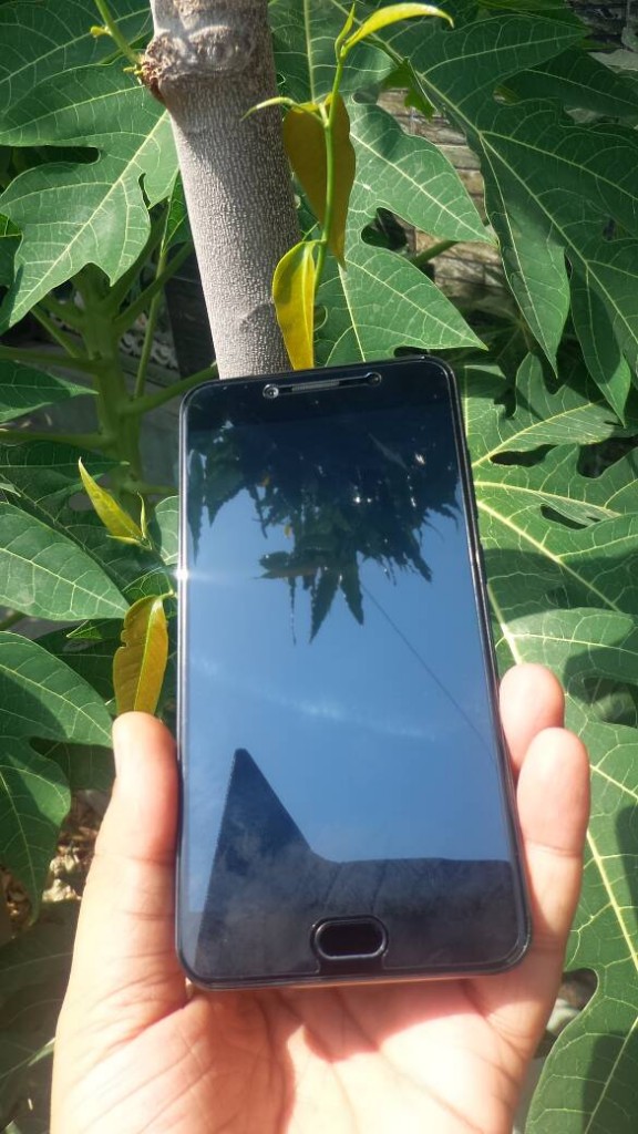 09955d94-295c-40ee-8b61-38cf2c731996